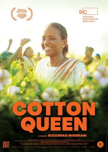 Cotton-Queen