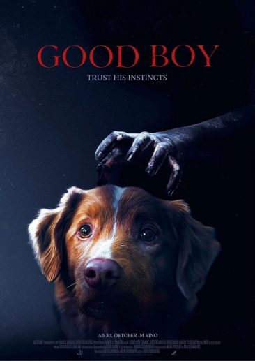 Good-Boy-–-Trust-His-Instincts