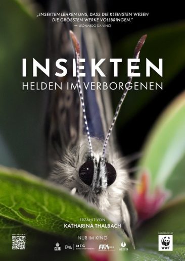 Insekten-Helden-im-Verborgenen