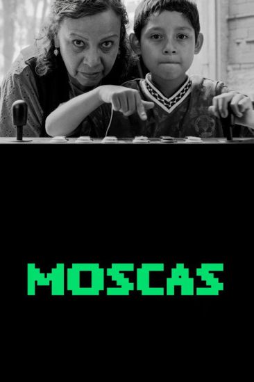 Moscas-Fliegen-und-andere-Gaeste